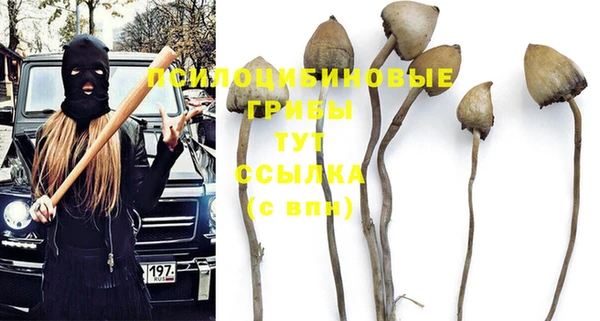 герыч Куйбышев