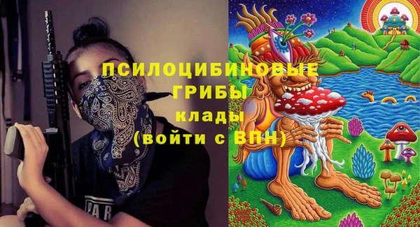 PSILOCYBIN Лагань