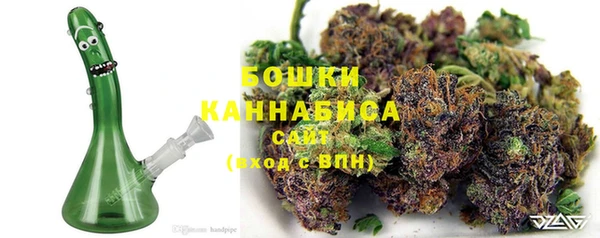 PSILOCYBIN Лагань