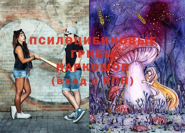 спайс Кукмор