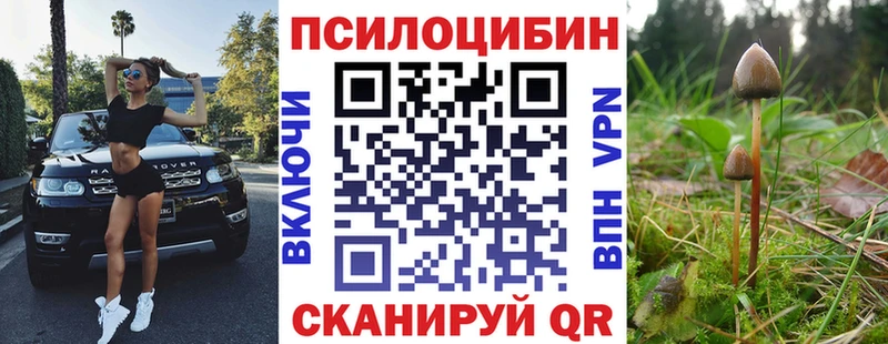 Псилоцибиновые грибы мицелий  Купить где  Новошахтинск 